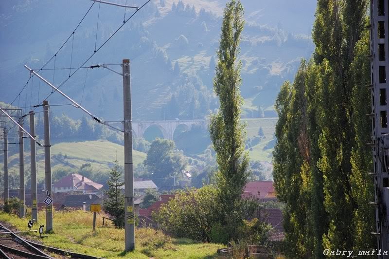 501 : Adjud - Comăneşti - Ghimeş - Siculeni DSC_91650087850x620