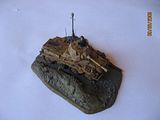 Revell Sd. Kfz. 234/2 1/76 Th_aca351