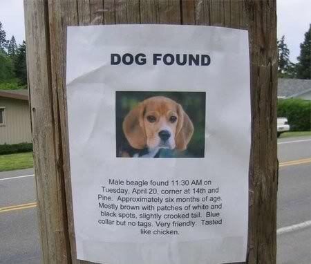 found dog Puppy_chicken