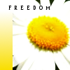 50 Avatars Contest Freedom-3