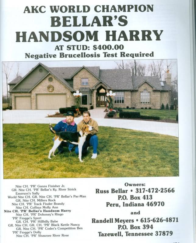 AKC WORLD CHAMPION BELLAR'S HANDSOM HARRY Scan0236