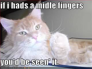Cat piktars Funny-pictures-cat-giving-finger