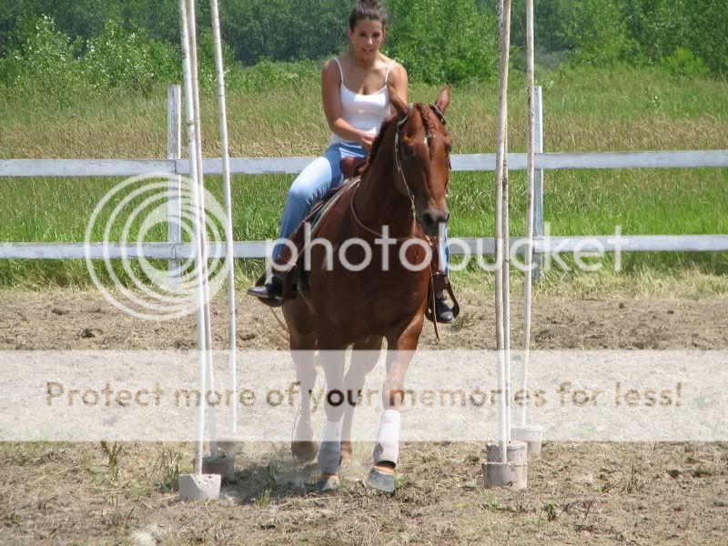 First Horse Show today!! :D:D **results and pics. 3rd post!* S2IS095