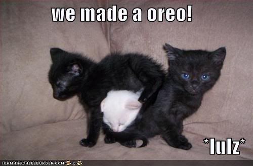 Epic cat thread 128345604262500000wemadeaoreo