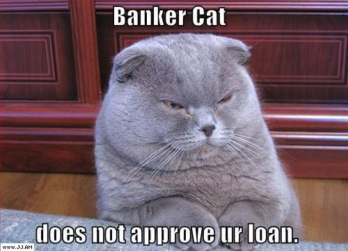 Epic cat thread Bankercat1
