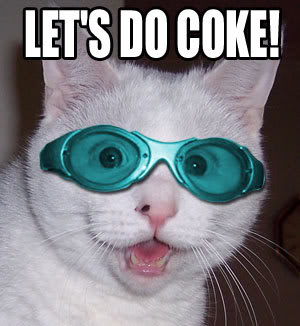 Epic cat thread Cokekitty