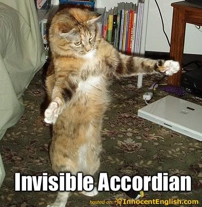 Epic cat thread Funny-cat-playing-accordion