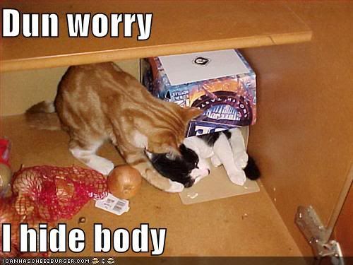 Epic cat thread Funny-pictures-cat-hides-body