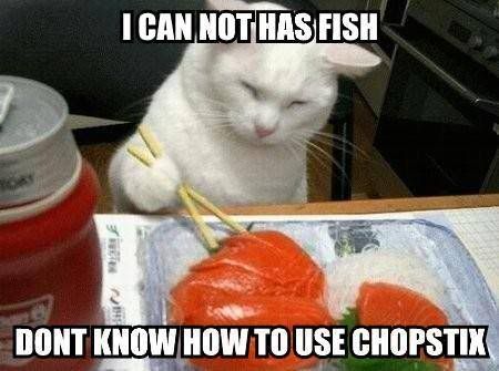 Epic cat thread I-can-not-has-fish-dont-know-how-to