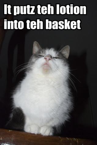 Epic cat thread It-putz-teh-lotion-into-teh-basket