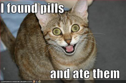 Epic cat thread Lolcat-funny-picture-found-pills-at