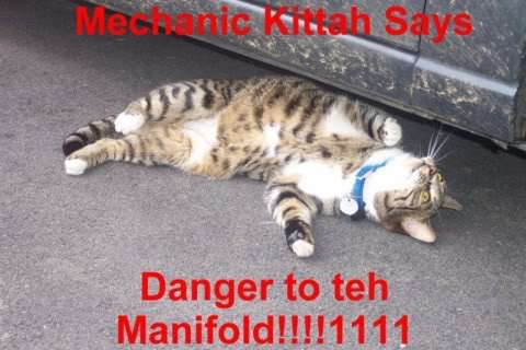 Epic cat thread Mechanic