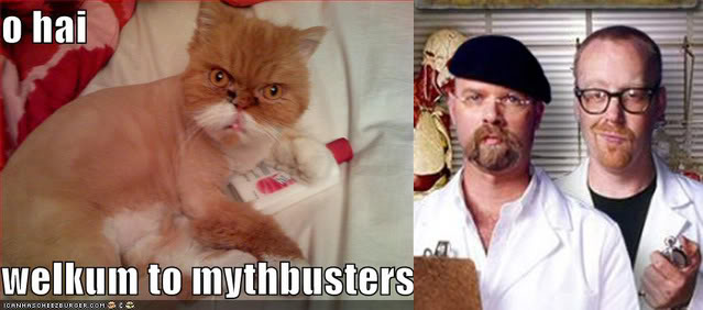 Epic cat thread Mythbustercat