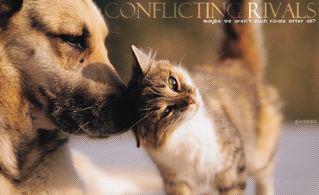 Conflicting Rivals | a canine & feline roleplay Conflictingrivalsadvert