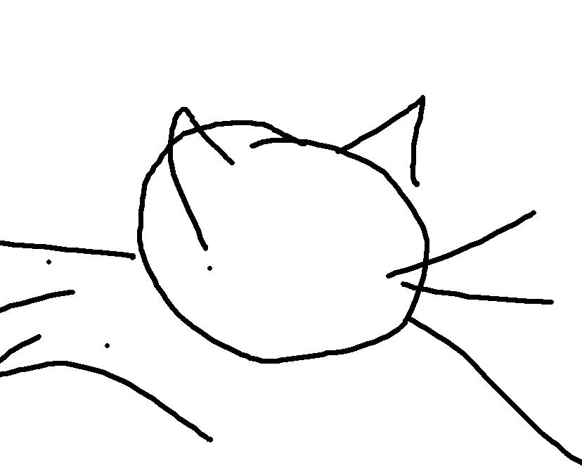 The "General Nonsense" Thread - Page 2 Blindcat