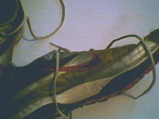 Pimpin' my spikes Spikes008