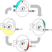 LE MOTEUR WANKEL (alias moteur rotatif) 180px-Wankel_Cycle