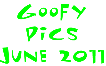 Goofy Pics June 2011 GOOF