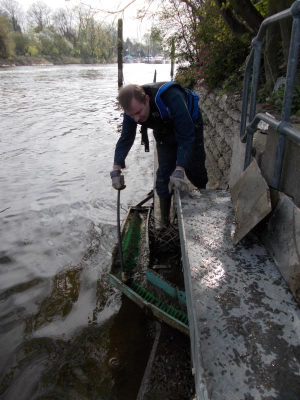 Eel pass clean up DSCN0944