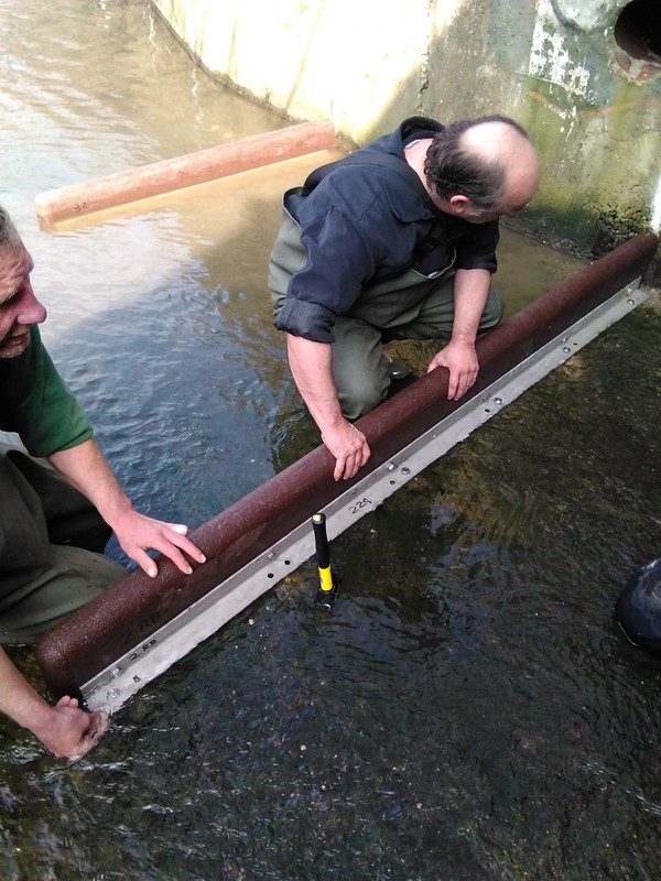 Hogsmill volunteers, A Job Well done :-) IMG_20150318_131636