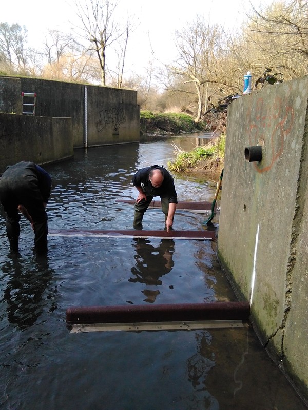 Hogsmill volunteers, A Job Well done :-) IMG_20150318_153017