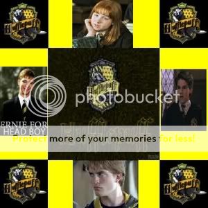 Poze Hufflepuff