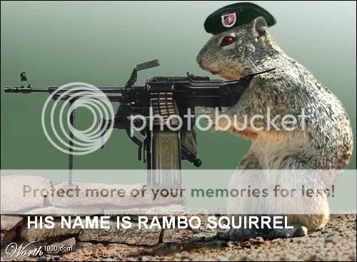 Attention a tous !! Squirrel_Gun1