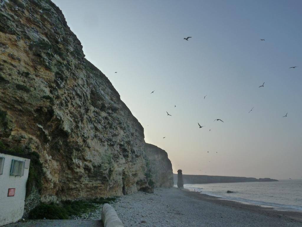 South Shields , Marsden Bay , 24/05/12 P1110243