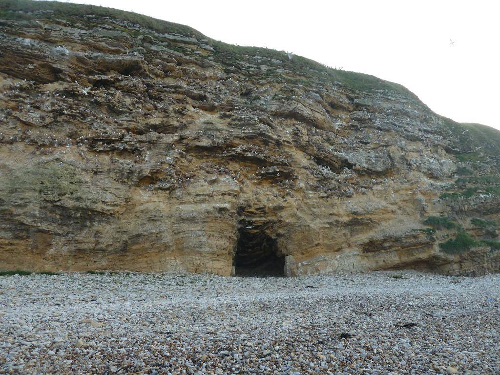 South Shields , Marsden Bay , 24/05/12 P1110265