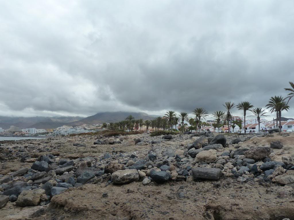 Canary Islands,Tenerife, A WALK THROUGH FROM LOS CRISTIANOS TO COSTA ADEJE P1090805