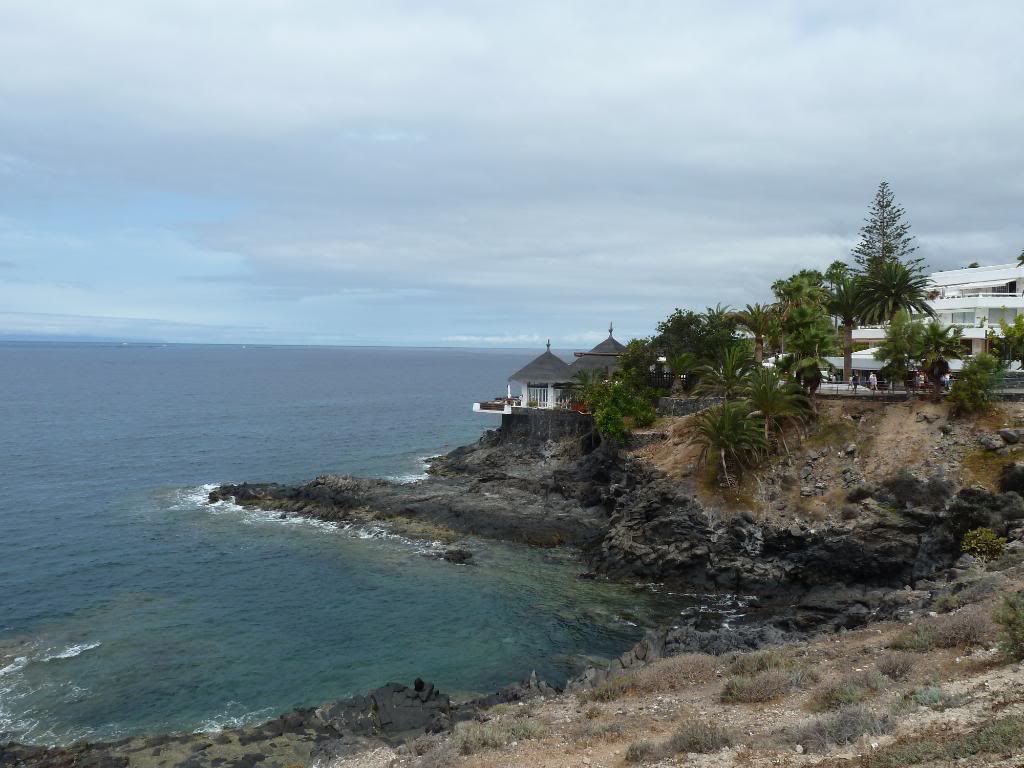 Canary Islands,Tenerife, A WALK THROUGH FROM LOS CRISTIANOS TO COSTA ADEJE P1090826