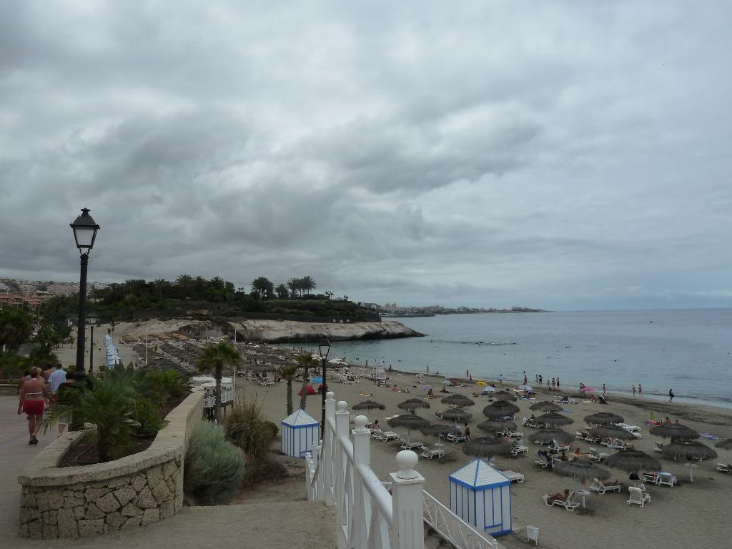 Canary Islands,Tenerife, A WALK THROUGH FROM LOS CRISTIANOS TO COSTA ADEJE P1090853