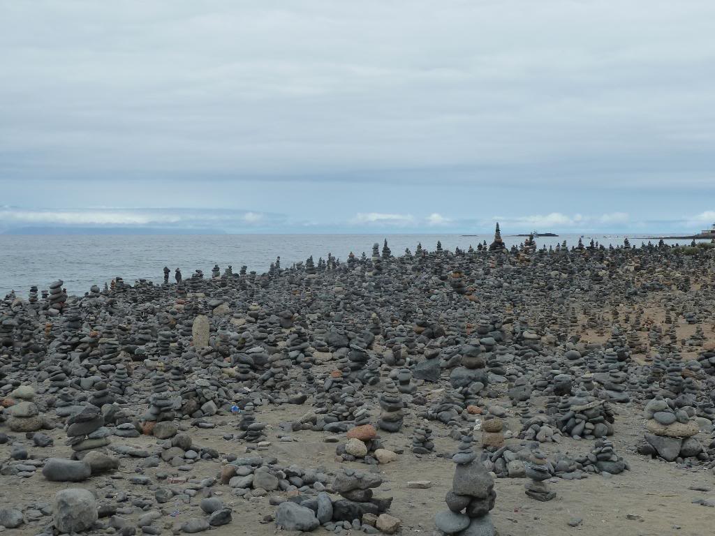 Canary Islands,Tenerife, A WALK THROUGH FROM LOS CRISTIANOS TO COSTA ADEJE P1090856