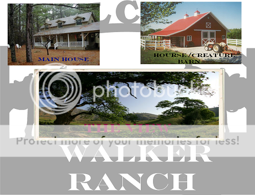 THE WALKER RANCH Thewalkerranch