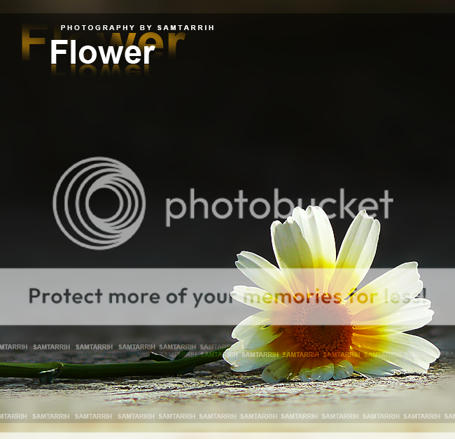 Flower F-3