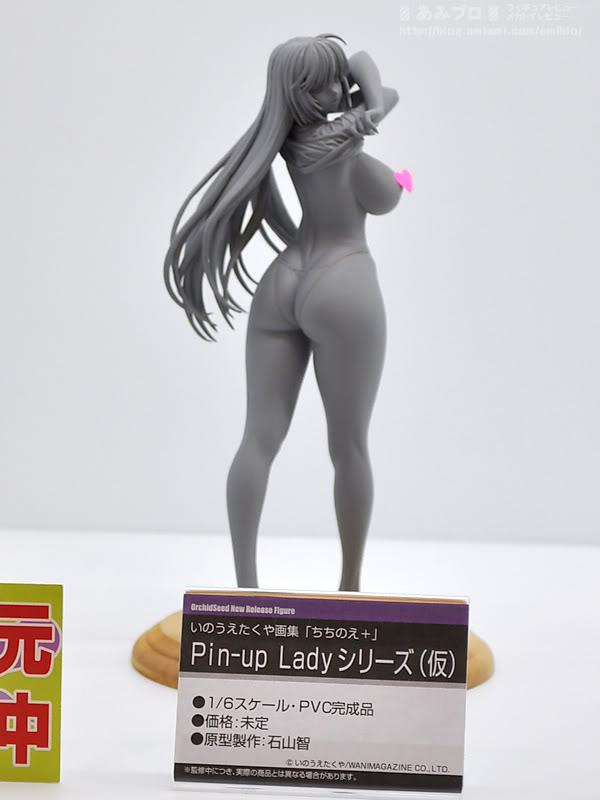 WF2011 Summer Orchid Seed 02