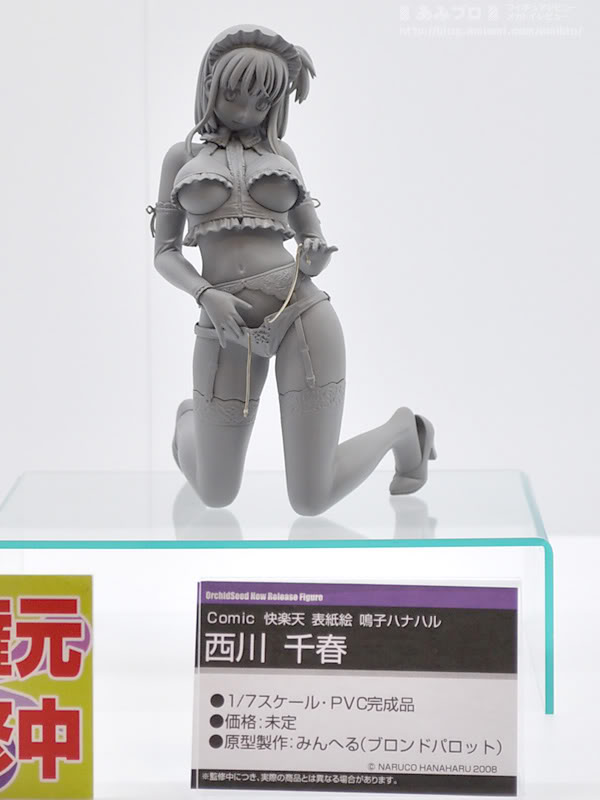 WF2011 Summer Orchid Seed 03