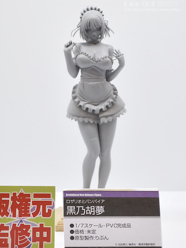 WF2011 Summer Orchid Seed 41