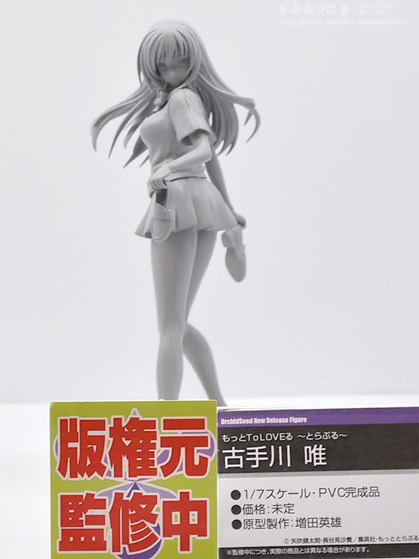 WF2011 Summer Orchid Seed 42