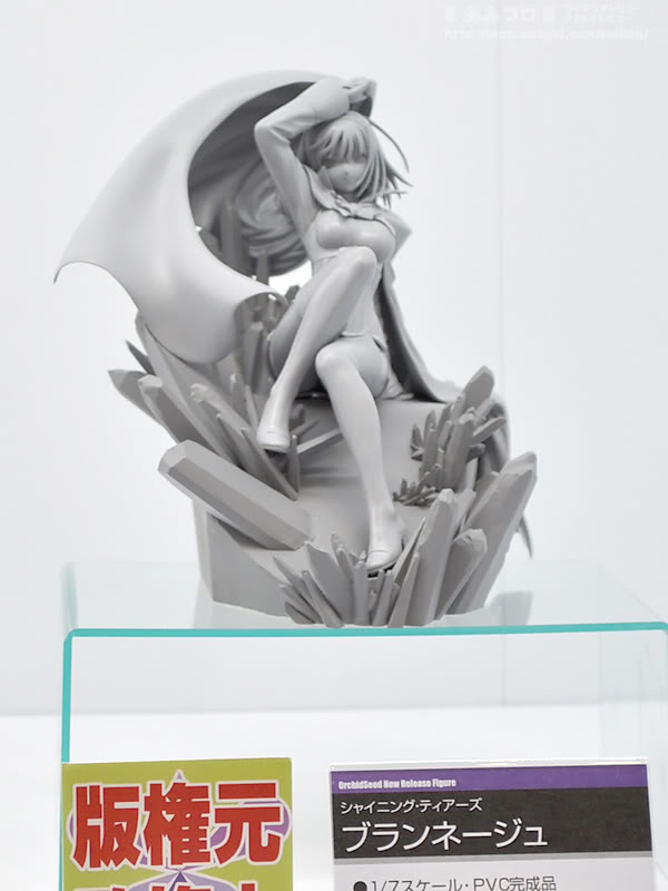 WF2011 Summer Orchid Seed 43