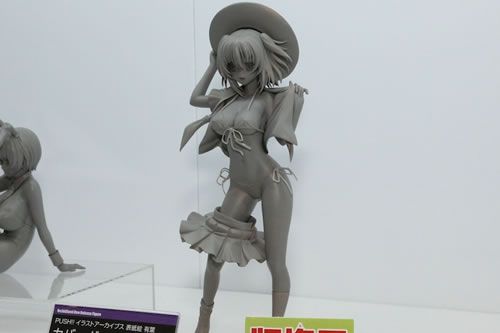 Orchid Seed Wonder Festival 2012 Summer E004s