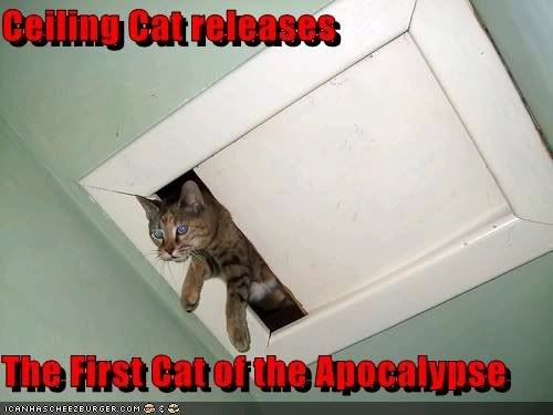 LOLCATS - Page 2 Apocalypse