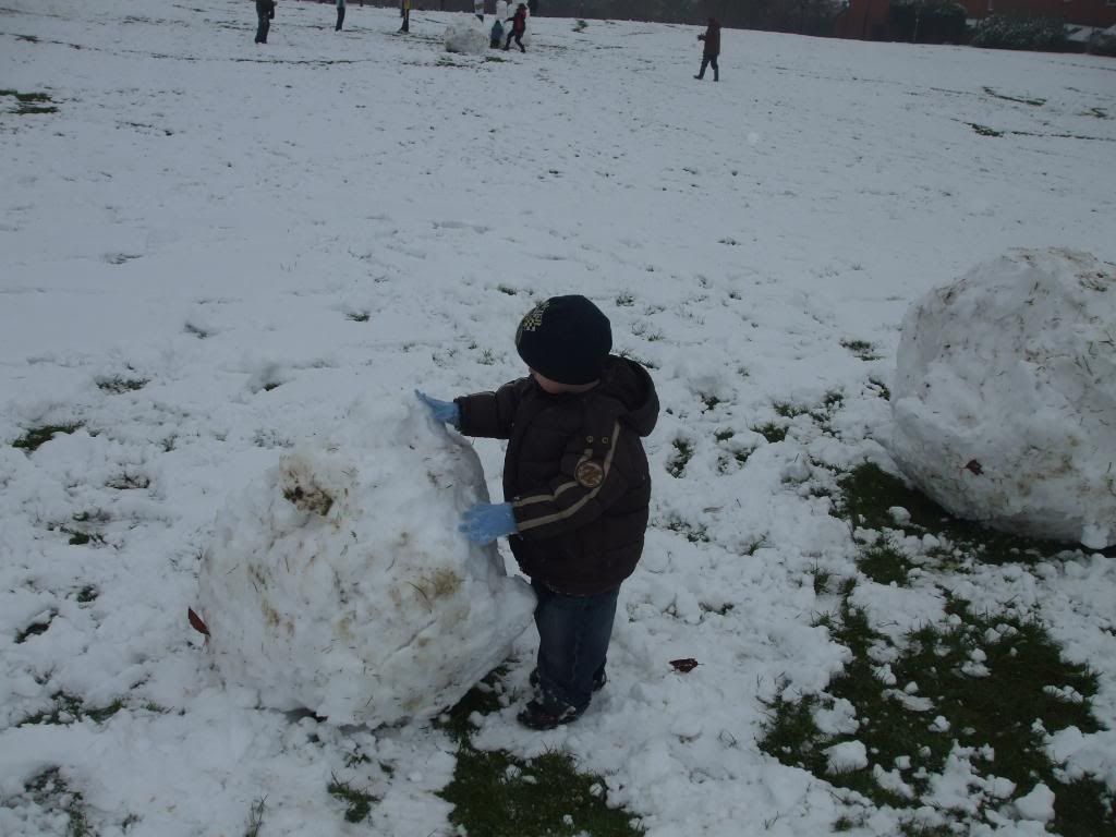 Joe In The Snow!!! DSCF0474