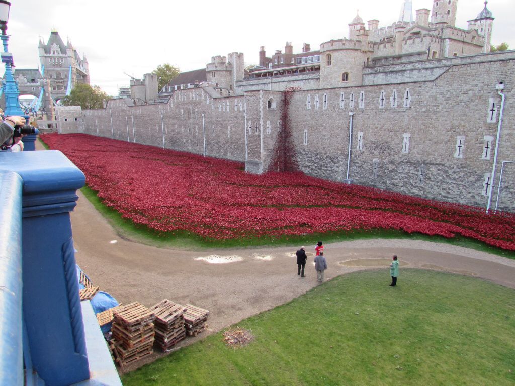 Poppies @ The Tower revisited 121f7f2c126af33cd6077b8fc90fca55_zps36c51471