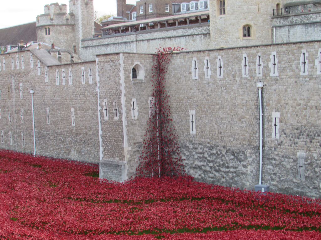 Poppies @ The Tower revisited 31520abbf4a18caf0b25c9d10ff4a0c2_zpsef905a32