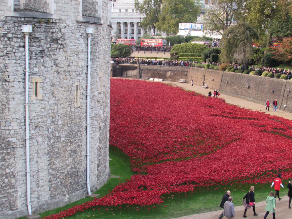 Poppies @ The Tower revisited 5489b84cd90192f6948ffe8c89d68bf2_zps323ad51a