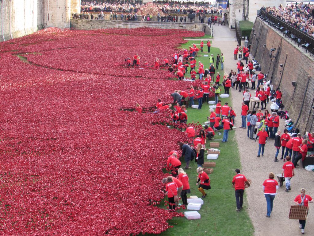 Poppies @ The Tower revisited 5742e6ba28e3d93c58e7eb66dc397799_zps454edfd3