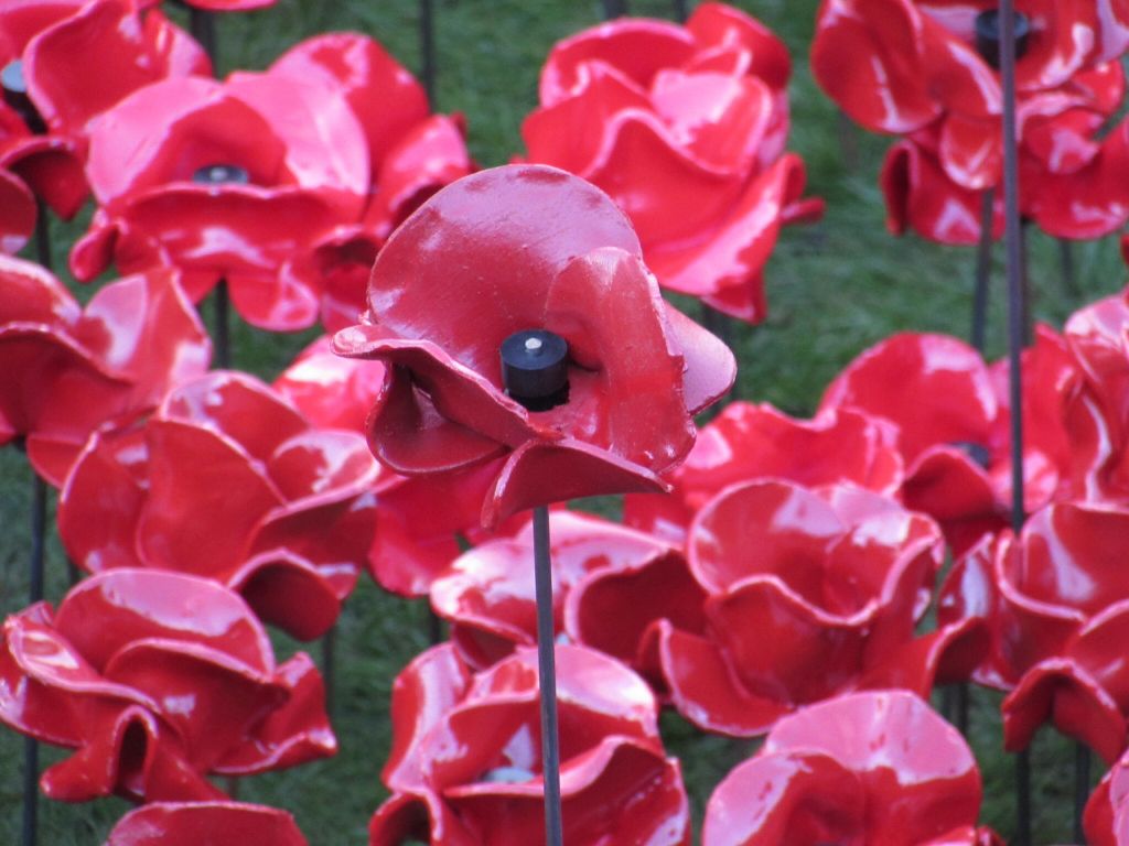 Poppies @ The Tower revisited 5e151124ae6b3d00d05d60be26ae55be_zps8c2515fa