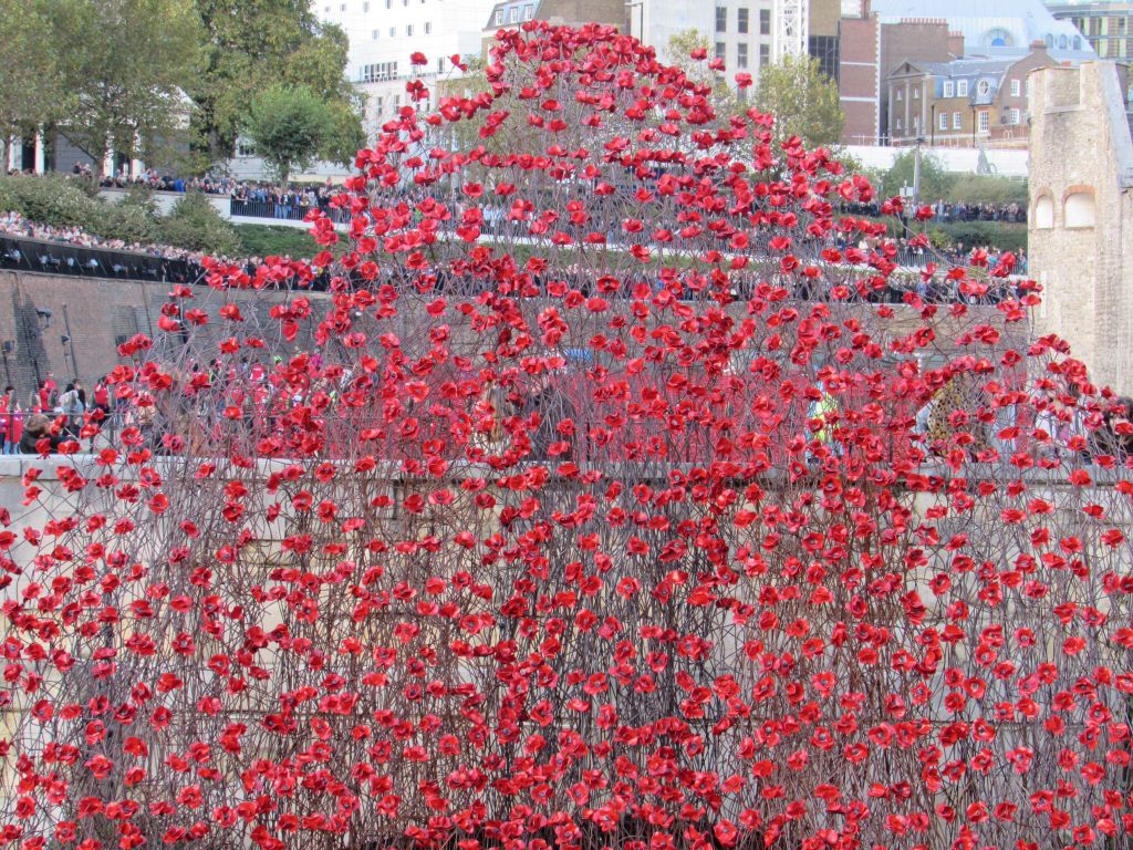 Poppies @ The Tower revisited 82dc661d0ea4144e54f8ecd0e5a2dc43_zps6b397367