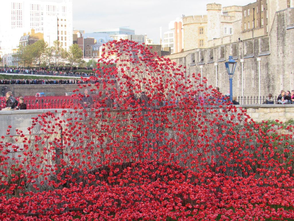 Poppies @ The Tower revisited Cd0fc8d6f9e4b008853eede292d9035b_zps8664c043